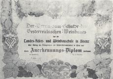Diplom - udělen v roce 1909 zemské rolnické a vinařské škole ve Bzenci Spolkem pro ochranu rakouského vinařství.