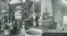 Výroba vína v bzeneckém zámku na fotografii z roku 1898. (zdroj: Die Gross-Industrie Oesterreichs)